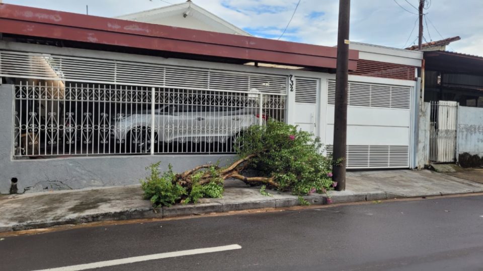 Tempestade deixa bairro sem energia elétrica