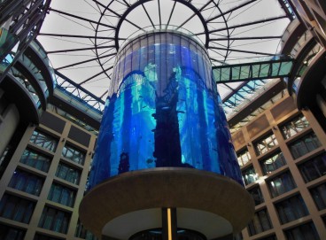 Aquário gigante explode e espalha 1.400 peixes exóticos em Berlim