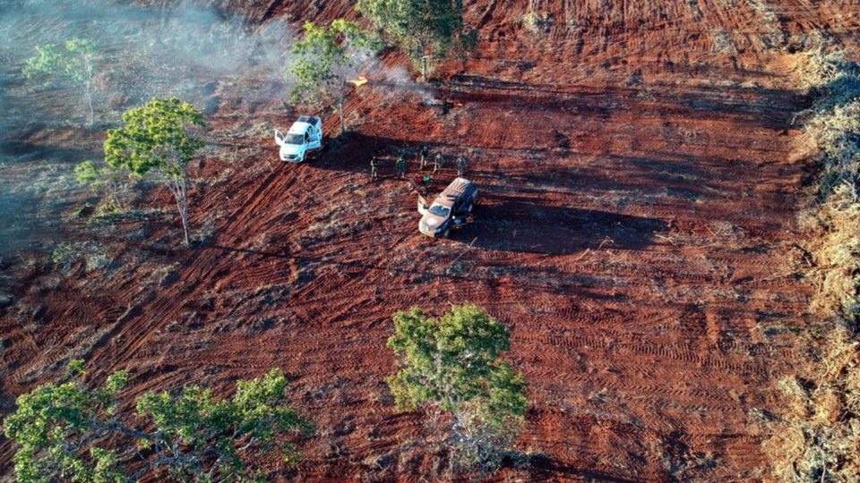 Desmate no Cerrado atinge maior patamar em sete anos