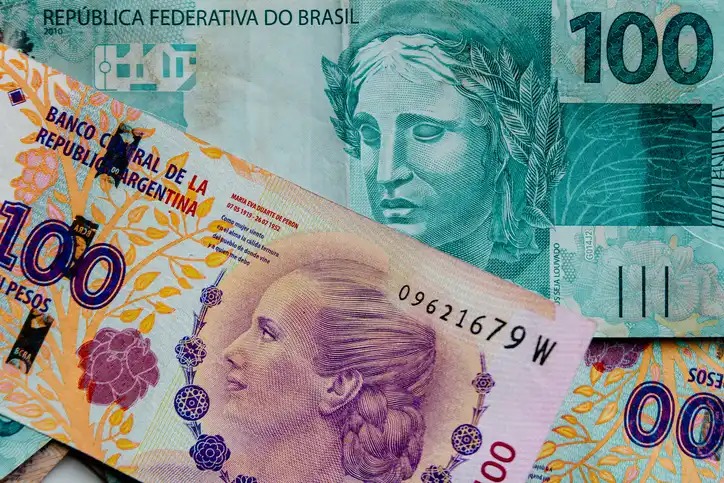 Moeda comum não acabaria com o real e o peso argentino