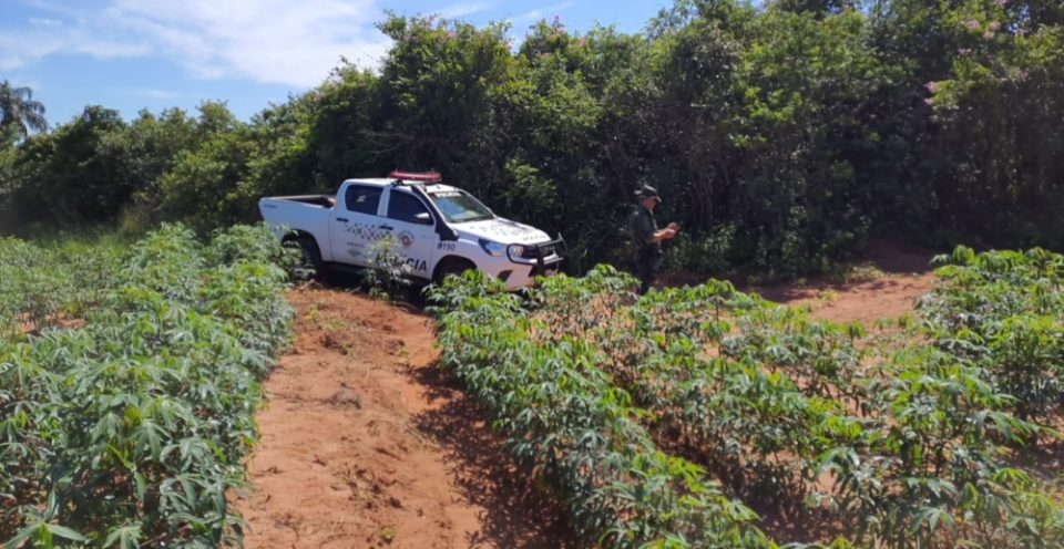 Fazenda é multada em R$ 44 mil por dano em vegetação