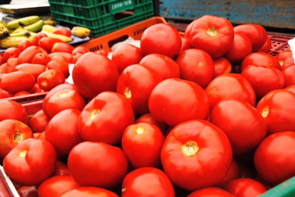 Cebola e tomate têm preços em queda nas Ceasas do País