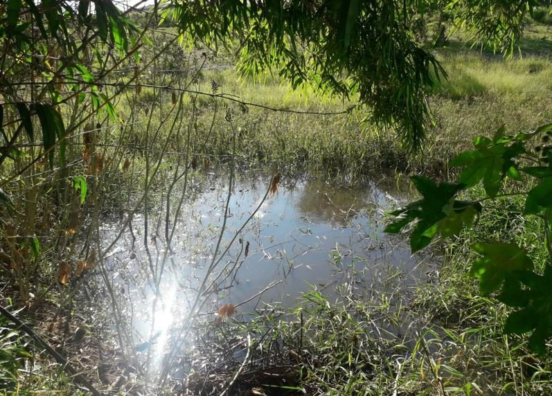 Iniciativa recupera 37 olhos d’água em Marília