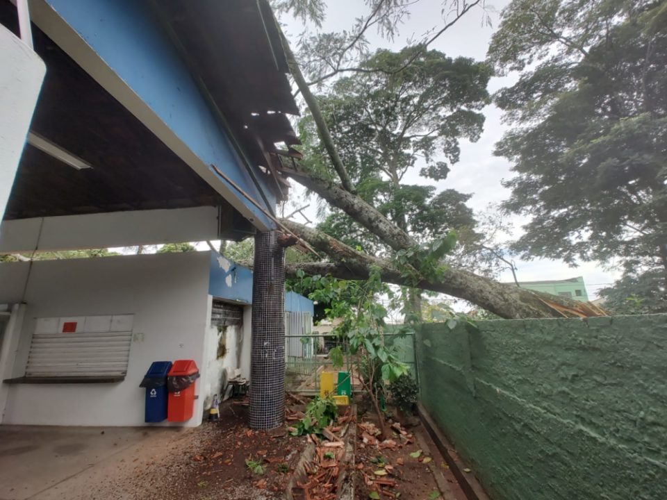 Queda de árvore destrói telhado de escola na zona Leste