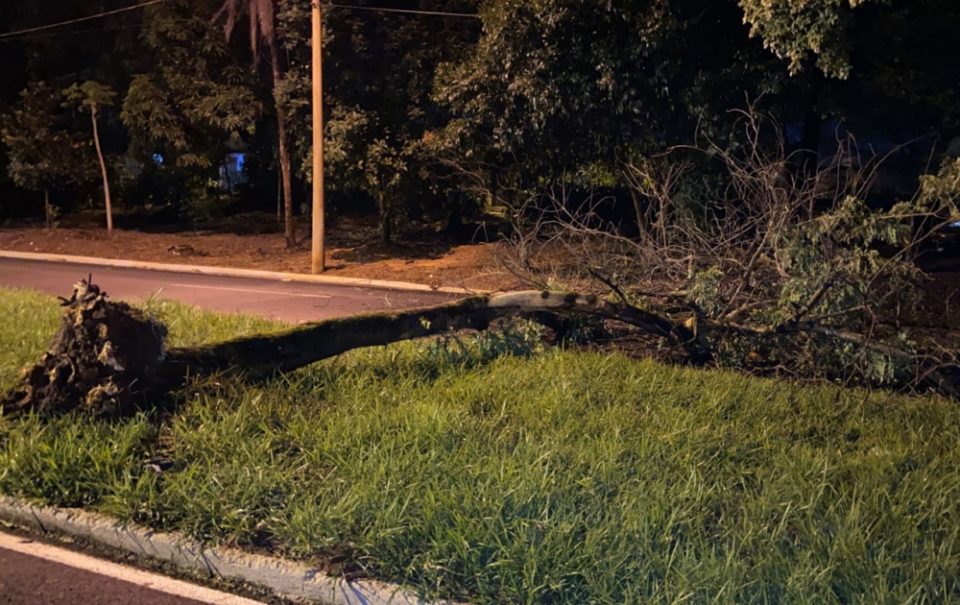 Temporal com granizo e ventos causa estragos em Bauru