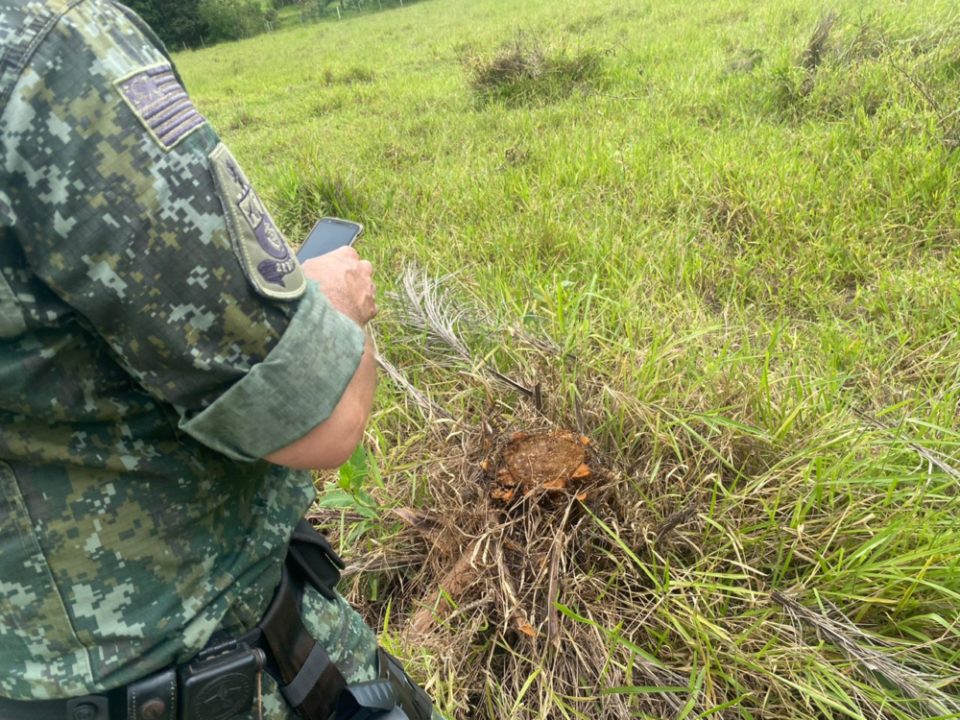 Ambiental aplica multa por corte de árvores em Marília