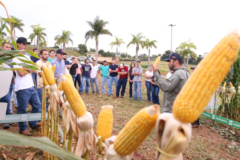 Engenharia Agronômica da Unimar realiza o 1º Dia de Campo do Milho