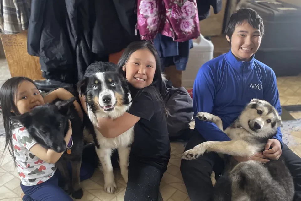 Cão reencontra família depois de viajar 241km