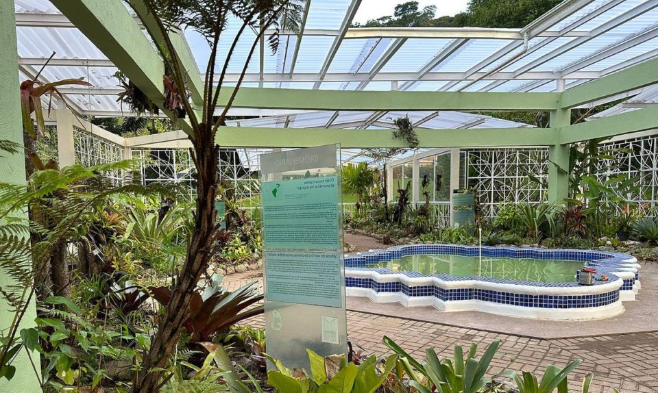 Jardim Botânico do Rio reabre bromeliário após obras