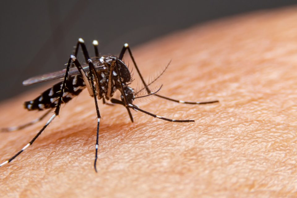 Lins investiga morte de criança por dengue