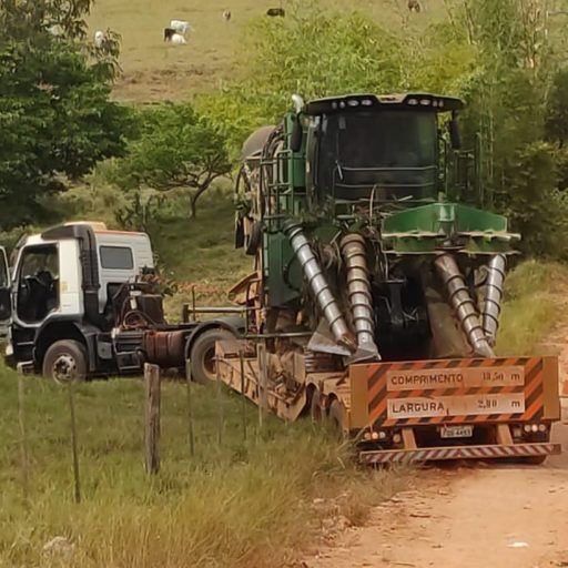 Motorista morre atropelado pelo próprio caminhão na região