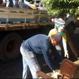 Com 133 casos de dengue, Garça tem mutirão de limpeza