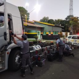 Rapaz é preso com caminhão furtado e mais de uma tonelada de maconha na SP-333