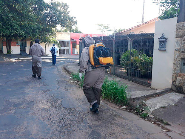 Tupã investiga oito mortes por dengue