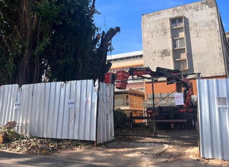 Prefeitura é contrária ao corte de árvores no HC, mas diz não ter poder de decisão