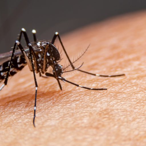 Região tem morte confirmada e cidade com sete óbitos em investigação por dengue