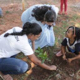 Alunos da Emei Branca de Neve plantam 50 árvores nativas e frutíferas