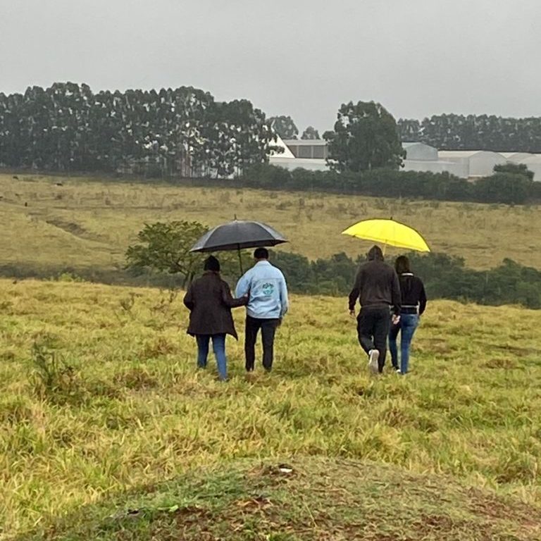 ONG faz abaixo-assinado e pede prisão de suspeito de matar cão a facadas