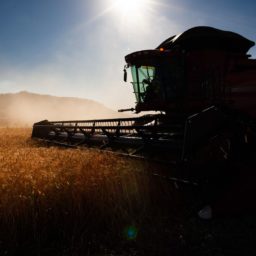 Governo faz ajustes em programas de concessão de crédito rural