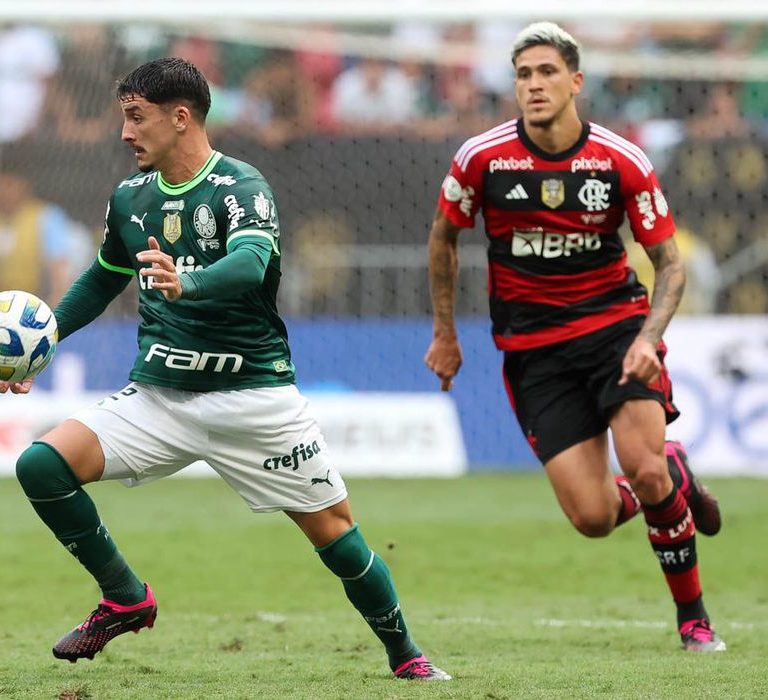 Palmeiras e Flamengo se enfrentam tentando se aproximar do Botafogo