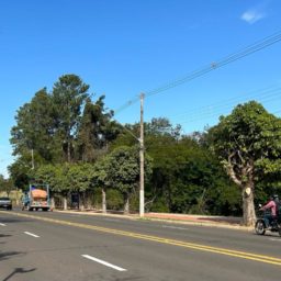 Nova avenida ao lado do Bosque pode custar pelo menos R$ 2,5 milhões