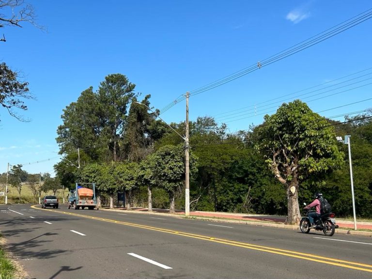 Nova avenida ao lado do Bosque pode custar pelo menos R$ 2,5 milhões