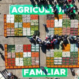 Programa de Aquisição de Alimentos é publicado no Diário Oficial