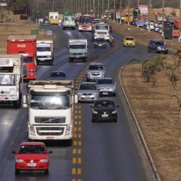 Placas de veículos podem voltar a informar cidade e estado, prevê projeto no Senado