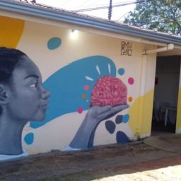 Caps infantil ganha mural em ação coletiva com artista mariliense