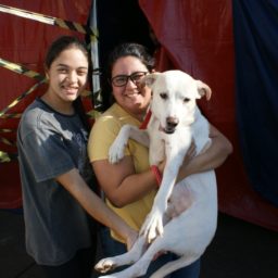 Marília recebe Castramóvel e donos de animais aprovam ação