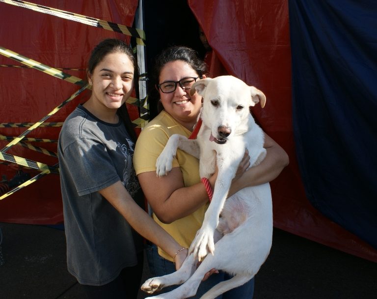 Marília recebe Castramóvel e donos de animais aprovam ação