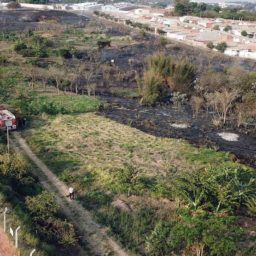 Incêndio destrói área do Projeto Doce Futuro na zona Norte de Marília