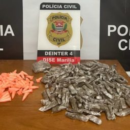 Dise prende ‘olheiro’ e apreende drogas em ponto de tráfico na zona Norte de Marília