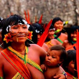 Maior terra indígena do Brasil, Yanomami contabiliza 27.152 pessoas