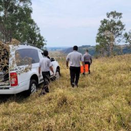 Jovem é morto com tiros na cabeça em bairro da zona Norte de Marília