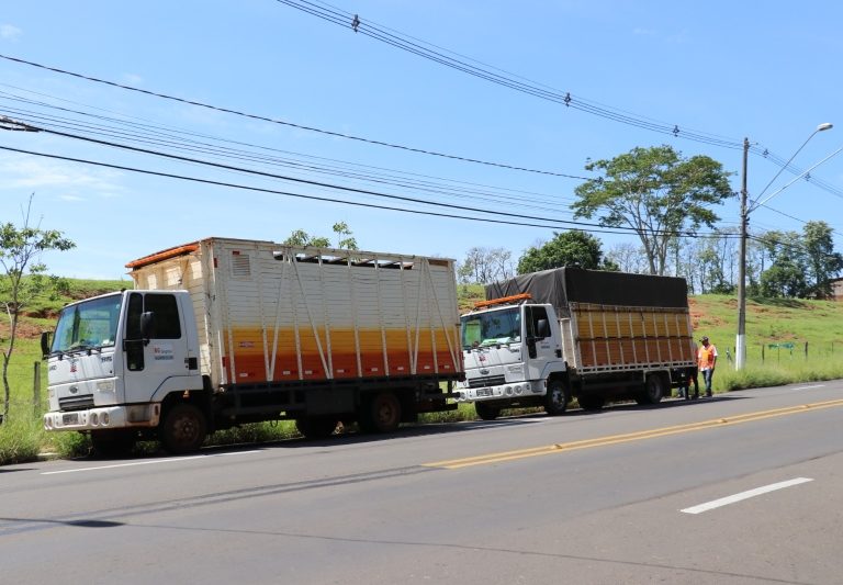 Serviço de recolhimento de animais é destinado a situações específicas em Marília