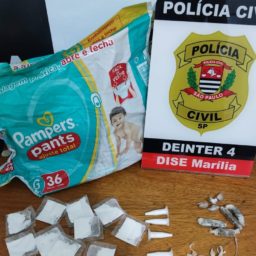 Polícia Civil prende homem com drogas escondidas em pacote de fraldas na zona Norte