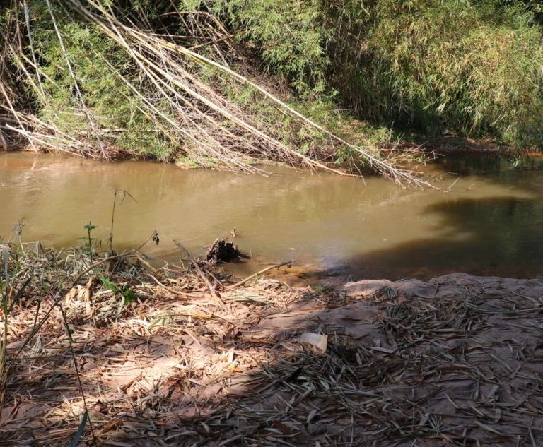 Daem lista problemas e afirma que nível do Rio do Peixe baixou 36 centímetros