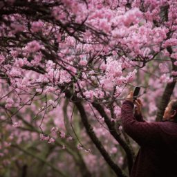 Primavera começa às 3h50 deste sábado