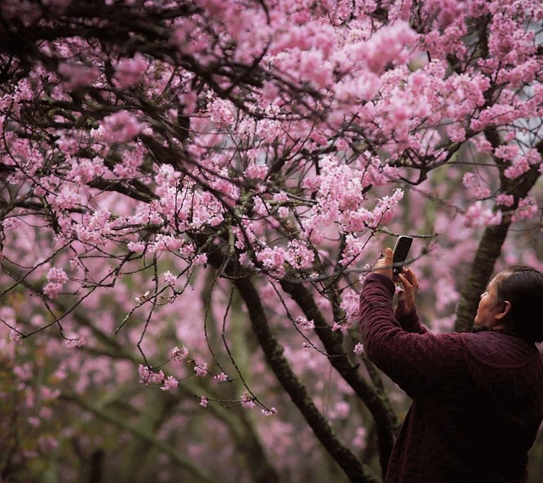 Primavera começa às 3h50 deste sábado