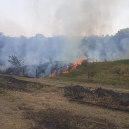 Incêndio consome 200 mil metros quadrados de área rural na zona norte