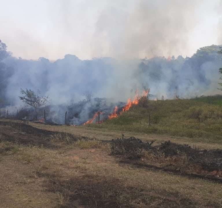 Incêndio consome 200 mil metros quadrados de área rural na zona norte