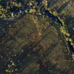 Desmatamento do Cerrado ameaça segurança hídrica de todo o Brasil