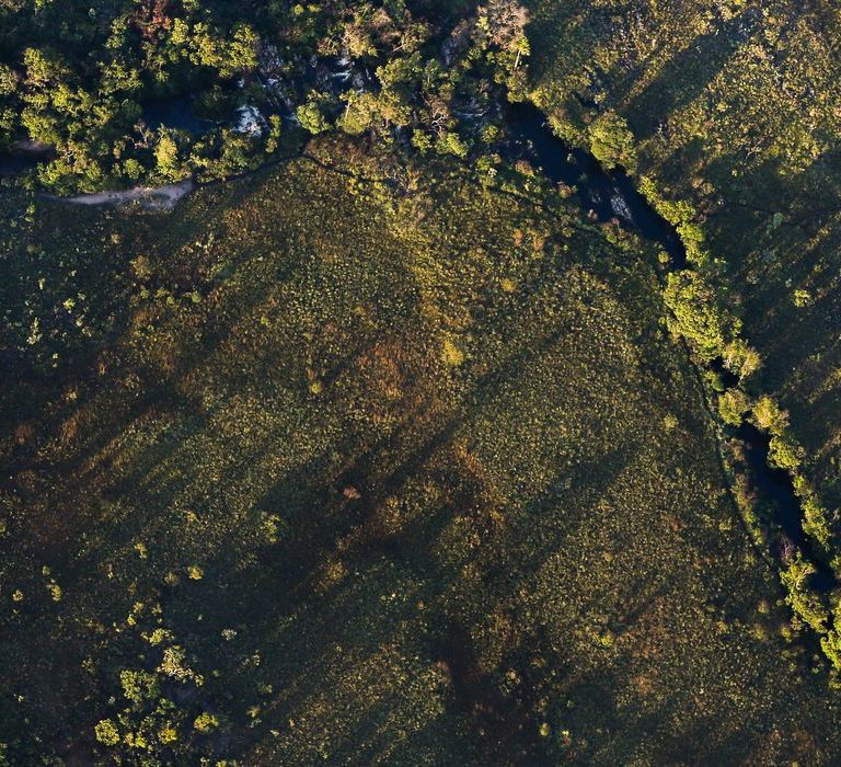 Desmatamento do Cerrado ameaça segurança hídrica de todo o Brasil