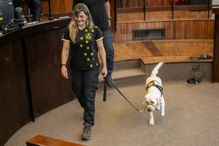 Pessoas com autismo passam a ter direito a uso de cão de assistência em Marília