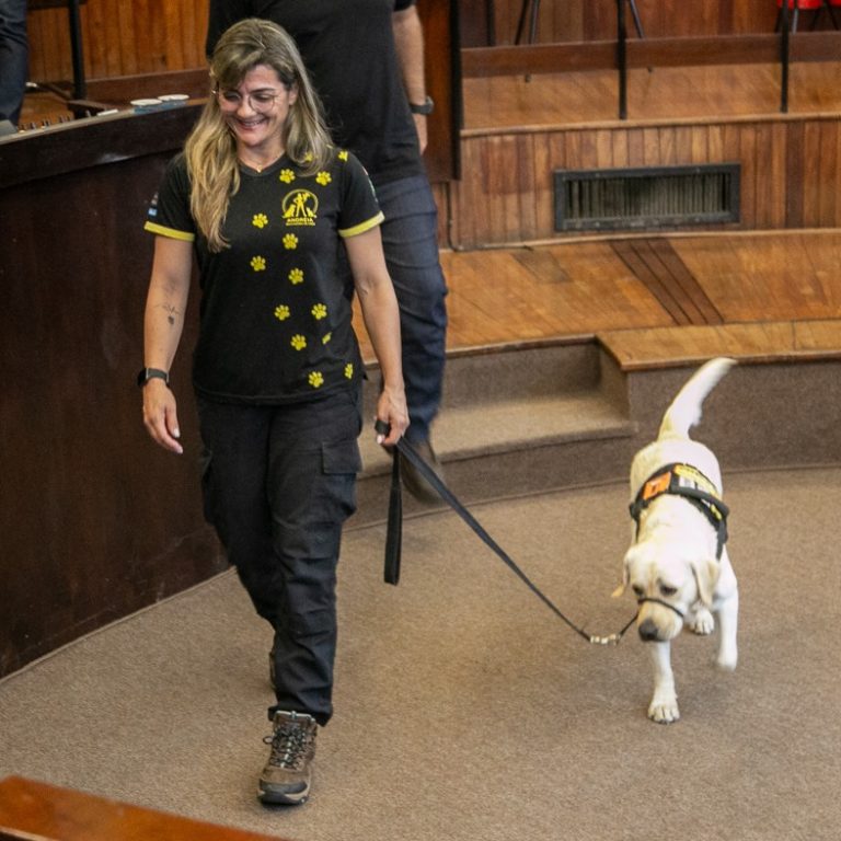 Câmara aprova empréstimo para ponte e cão de assistência para pessoas com autismo