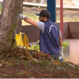 Criança de cinco anos é picada por escorpião em escola na zona oeste de Marília