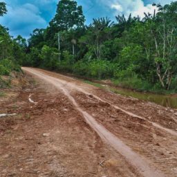 Desmatamento na Amazônia cai em setembro, aponta o Inpe