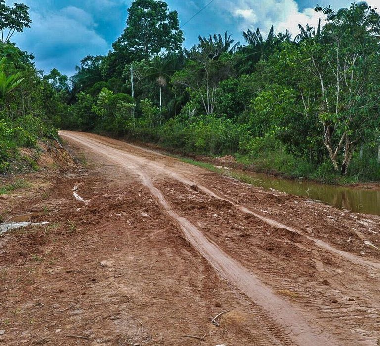 Desmatamento na Amazônia cai em setembro, aponta o Inpe