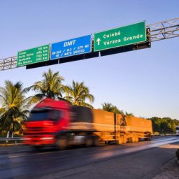 Exames toxicológicos de motoristas: vetos derrubados passam a valer